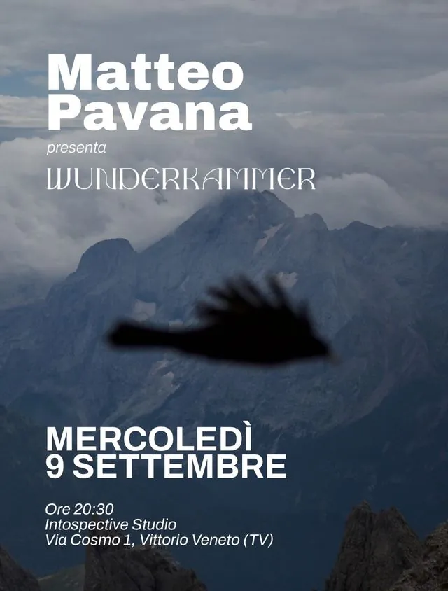 Post Instagram: Matteo Pavana presenta Wunderkammer, mercoledì 9 settembre, Introspective Studio