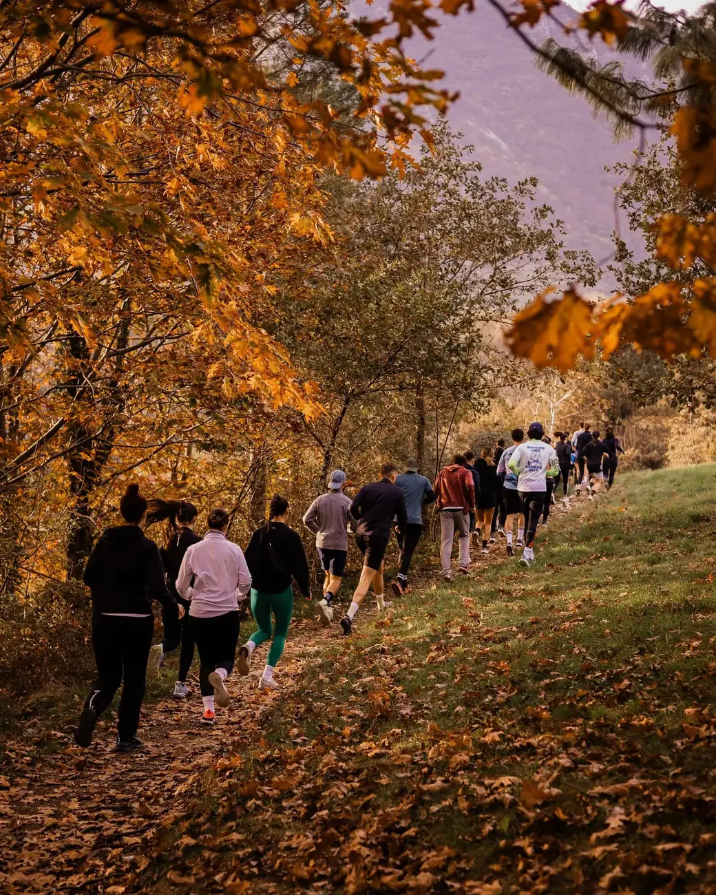 Un gruppo di runner corre in fila su un sentiero tra le foglie d'autunno